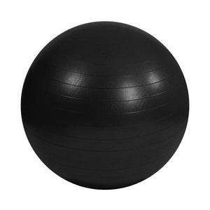 Gym Ball - 65cm - RAW Fitness Equipment