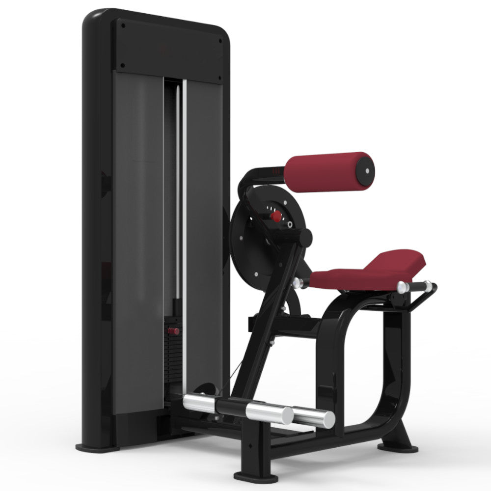 Pegasus 1S - 2 in 1 Ab Crunch & Back Extension Machine - RAW Fitness Equipment