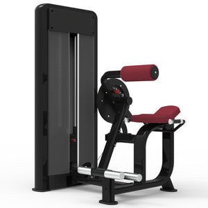 Pegasus 1S - 2 in 1 Ab Crunch & Back Extension Machine - RAW Fitness Equipment