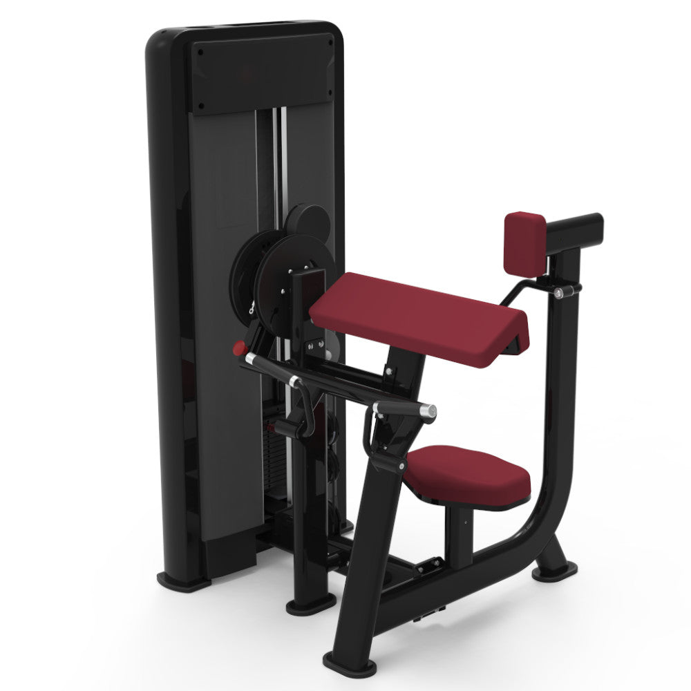 Pegasus 1S - 2 in 1 Bicep & Tricep Machine - RAW Fitness Equipment