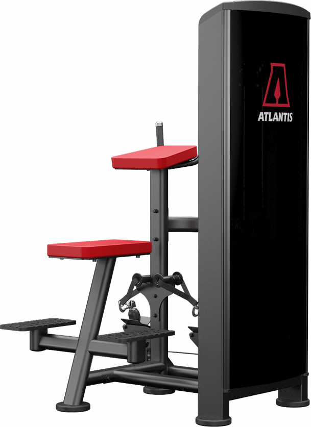 Atlantis Strength Vertical Row Machine Model D433