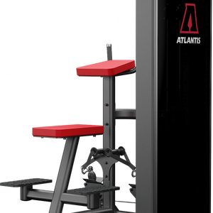 Atlantis Strength Vertical Row Machine Model D433