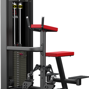 Atlantis Strength Vertical Row Machine Model D433