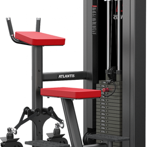 Atlantis Strength Vertical Row Machine Model D433