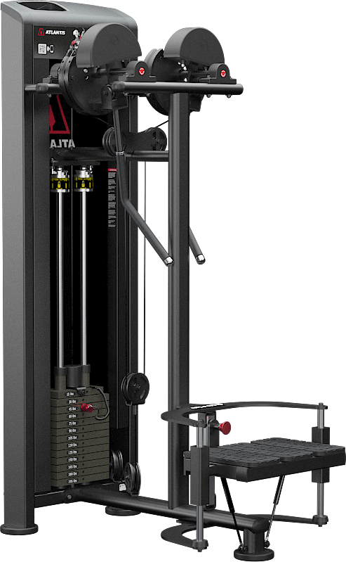 Atlantis Strength Standing Lateral Raise Machine Model E252
