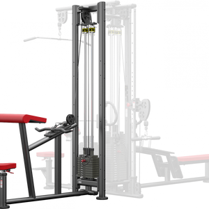 Atlantis Strength Horizontal Bicep Curl Model MS4