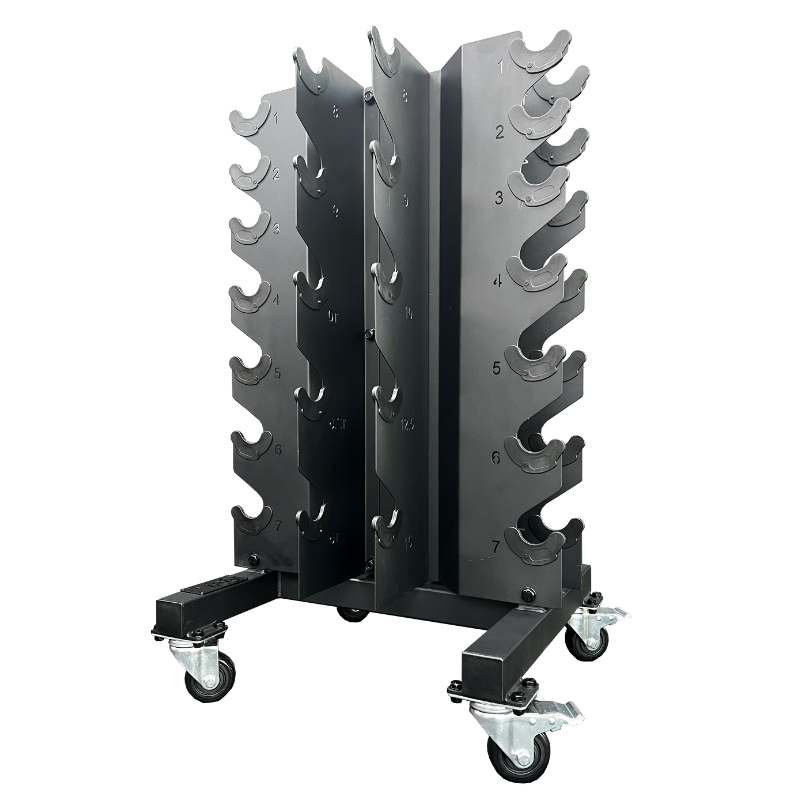 Buy Hex Dumbbell Set With Rack Raw Fitness