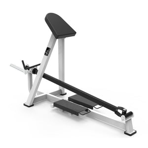 Pegasus 3S - Plate Loaded Standing Row Machine - RAW Fitness Equipment