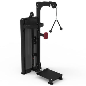 Pegasus 1S - 2 in 1 Standing Bicep & Tricep Machine - RAW Fitness Equipment