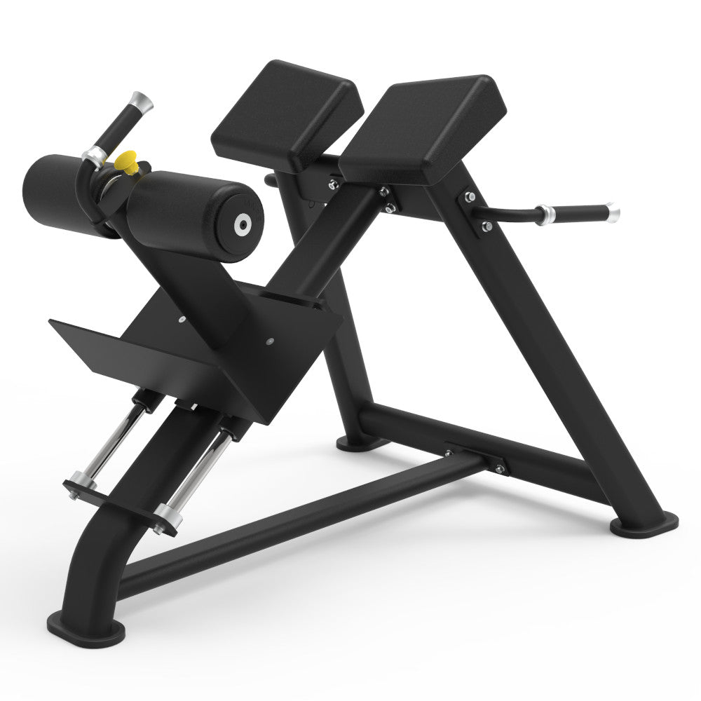 Pegasus 2S - Adjustable Roman Bench - RAW Fitness Equipment