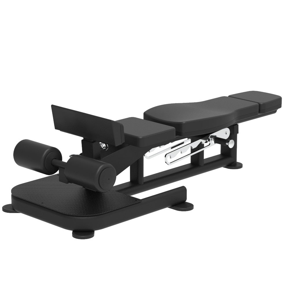 Pegasus 2S - 2 in 1 Sissy Squat & Adjustable Bench - RAW Fitness Equipment