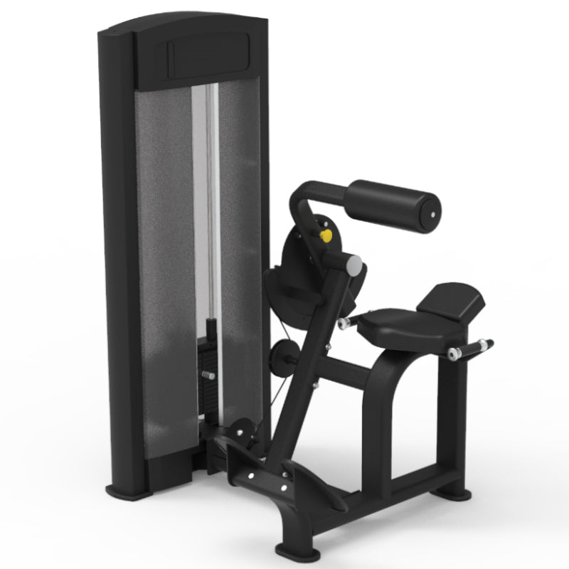 Pegasus 2S - Pin Loaded Back Extension Machine - RAW Fitness Equipment