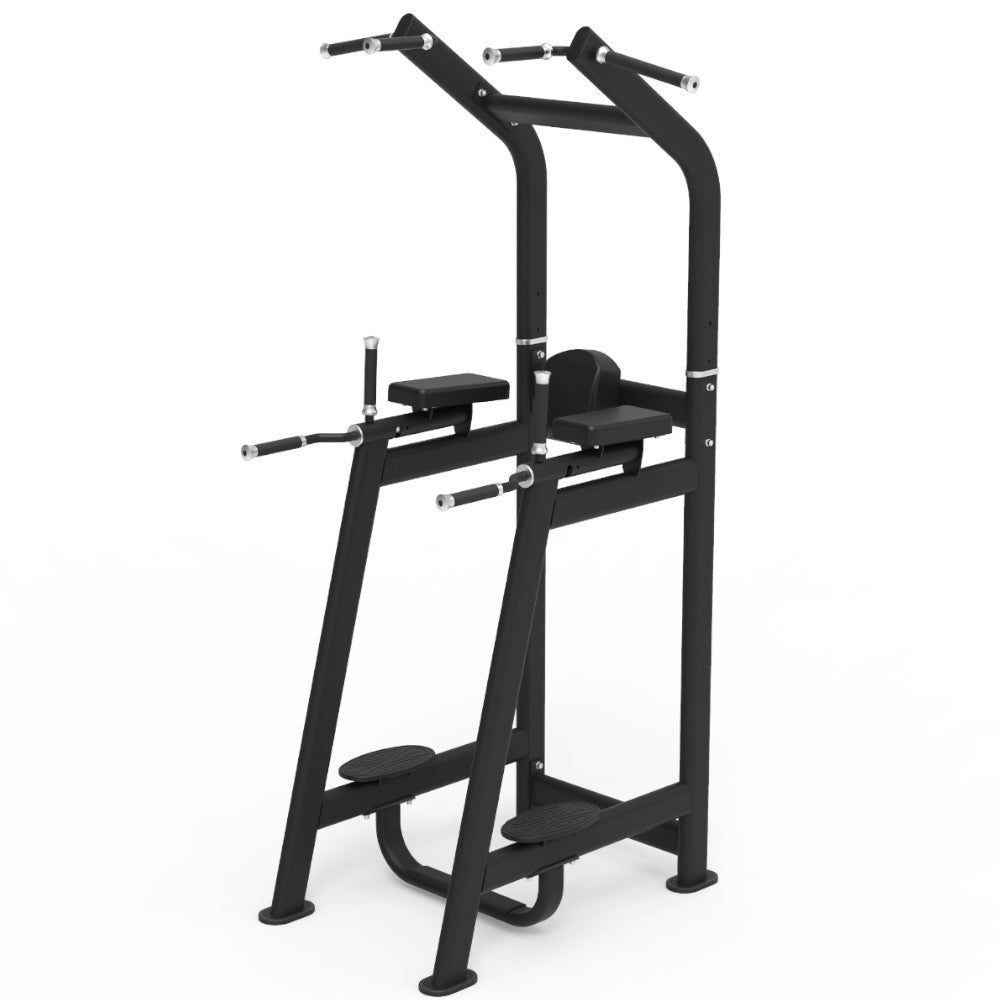 Pegasus 2S - 2 in 1 Vertical Knee Raise & Chin-Up Combo - RAW Fitness Equipment