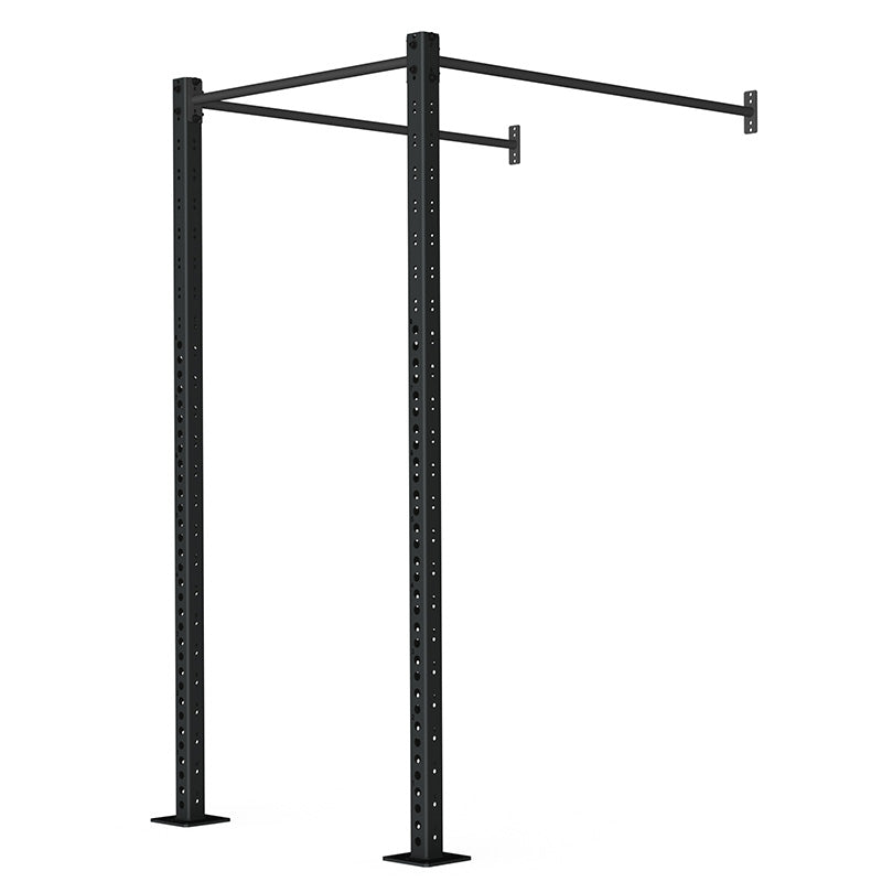 Wall-Mounted Rig - Concept 01 - RAW Fitness Equipment