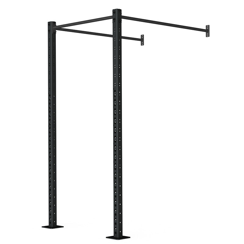 WALL MOUNTED RIG – CONCEPT 01 - RAW Fitness Equipment
