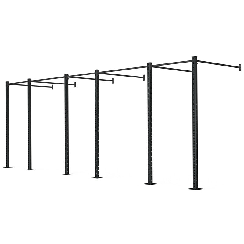 WALL MOUNTED RIG CONCEPT 06 RAW Fitness Equipment