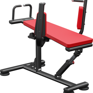 Atlantis Strength Adjustable Leg Raise Model A168