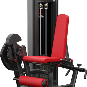 Lying leg curl and leg extension machine sale